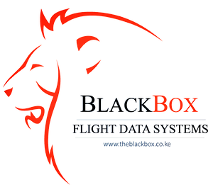 Blackbox Flight Data Systems MMS
